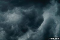 Storm Damage Recovery Knowing When to Go Pro