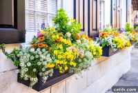 Green Your Space Outdoor Planter Installation Made Easy