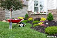 The Edge Effect: How Edging Elevates Your Lawn