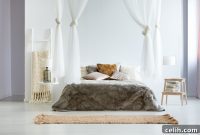 Contemporary Canopy: Classic Charm, Modern Edge
