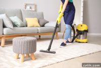 Conquering Grime: The Definitive Deep Cleaning Playbook for Stubborn Messes
