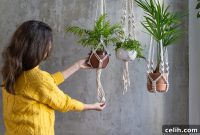 Perfect Plants for Macrame Hanging Planters