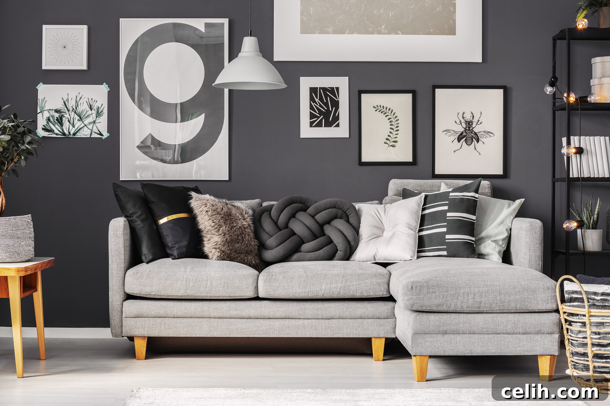 featured 31632