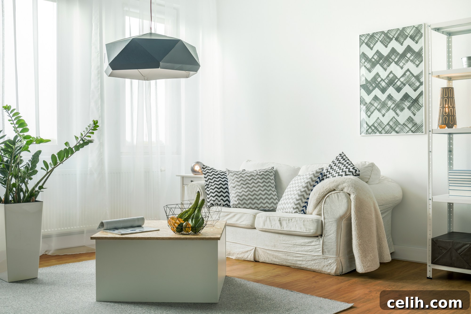featured 31808