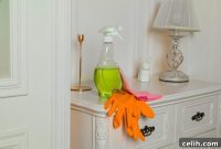 Boosting Home Health with Green Cleaning Solutions