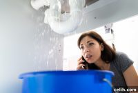 Sudden Plumbing Issues at Home Your Emergency Action Plan