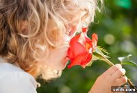 Cultivating a Modern Sensory Haven for Young Explorers