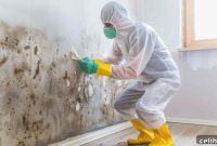 Landlord Biohazard Solutions: Ensuring Tenant Safety