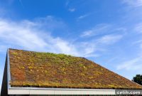 Optimizing Your Apartment Roof: 5 Key Design Considerations
