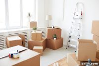 Mastering Your Long-Distance Relocation