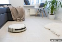 Mastering Effortless Home Cleaning Future Trends and Tools