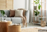 Contemporary Calm: Designing Your Modern Retreat