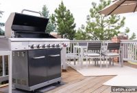Green Mountain Grills: Effortless Backyard BBQ, Endless Fun