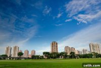 Orchard Urban Luxury Redefined