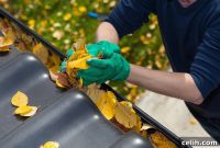 Seasonal Home Maintenance Easy Ways to Avoid Big Bills
