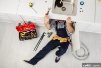 Cherrybrook Home Plumbing Inspections: Pre-Purchase and Pre-Renovation