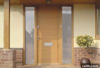Elevate Your Home: The Power of New Doors