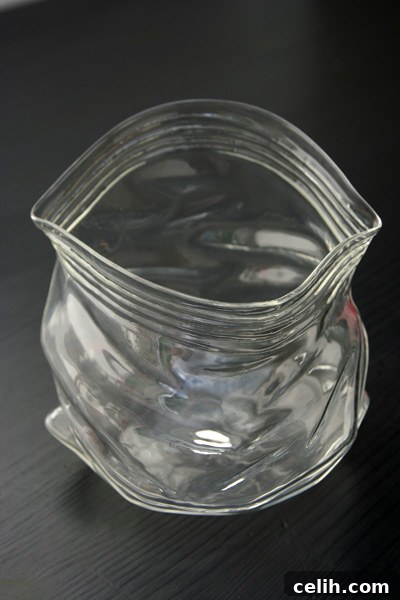 glass-bag-bowl Glass plastic bag bowl