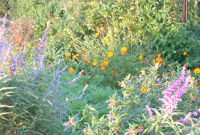 Top Ten Gardening Tools for Summer Gardens