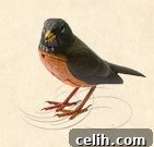 The Avian Bard