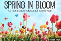 Joss and Main’s Fresh Spring Blooms Collection