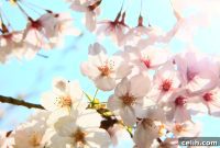Spring Awakening: 5 Jobs to Transform Your Garden