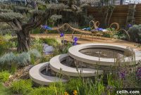 Five More Must-See Gardens from RHS Chelsea Flower Show 2015