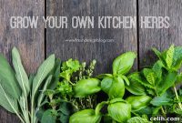The Stylish Guide to Fresh Kitchen Herbs