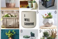 Stylish Pots to Transform Your Plant Display