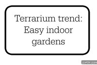 Cultivate Your Indoor Oasis with Terrariums