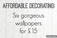 Next Wallpaper: Designer Style, Down-to-Earth Prices