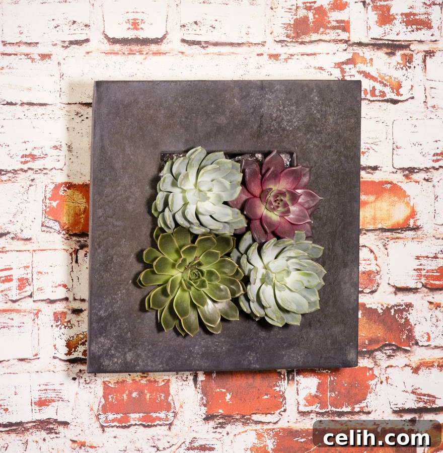 Love these unusual living wall planters! The succulents work so well in them. 