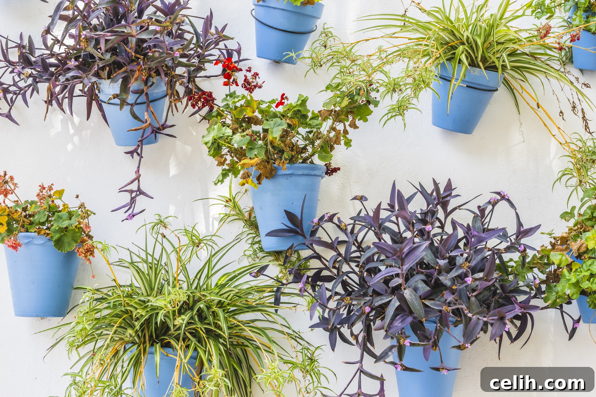 Colourful blue outdoor wall planters on a white wall
