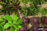 Cultivating Beauty: Inspiring Garden Planting Designs