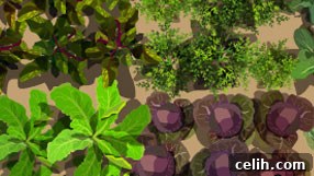 Salad garden design idea Salad garden design idea