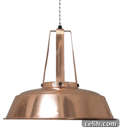 Gorgeous copper Industrial pendant light