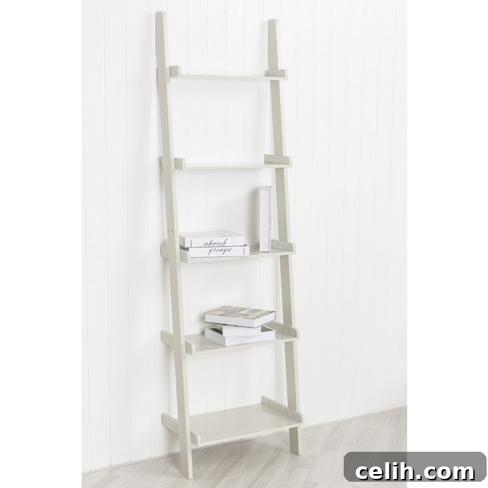 On trend ladder style bookcase