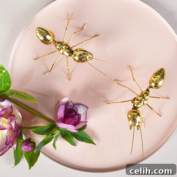 Unusual gold ant decorative home accessories. Who knew I needed them?!