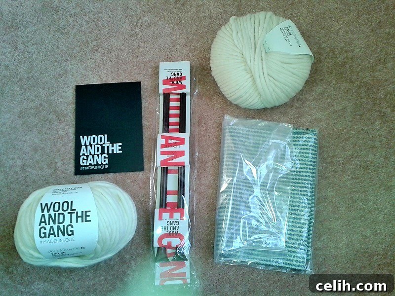 The comprehensive contents of the Impossible Baby Dreamer knitting kit