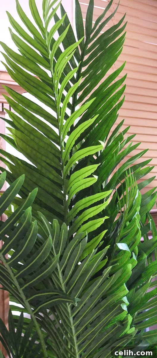 Love the look of these paradise palm leaves against the wooden blinds in the background