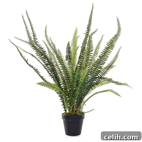 Artificial forest fern - great for use in a conservatory or garden room