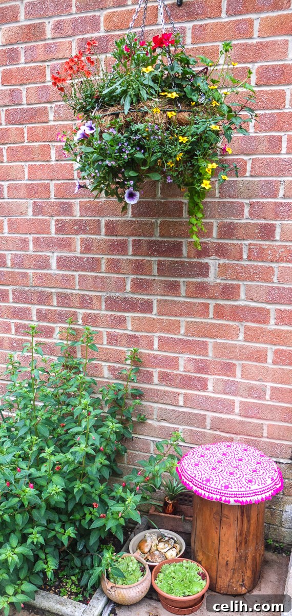 Stunning hanging basket handmade by Roger Savage from Choice Plants, bursting with vibrant blooms.