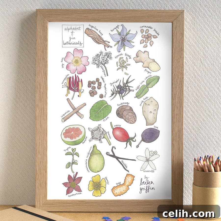 Beautifully hand-drawn gin botanicals alphabet illustration by Becka Griffin Illustrations, a perfect educational art piece for all gin lovers