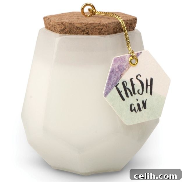 Your Summer Sanctuary: Scented Candles for a Blissful Home 5 A must-have scented candle with the fragrance of fresh air, hand poured in the US from soy wax