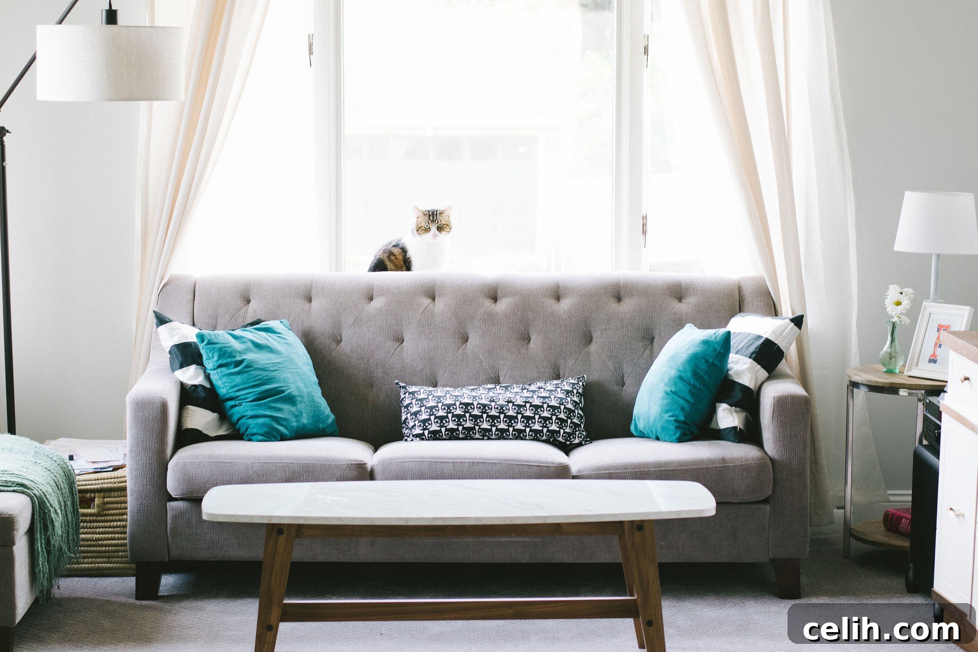 How to update your living room with clean lines and modern furnishings and a neutral color scheme