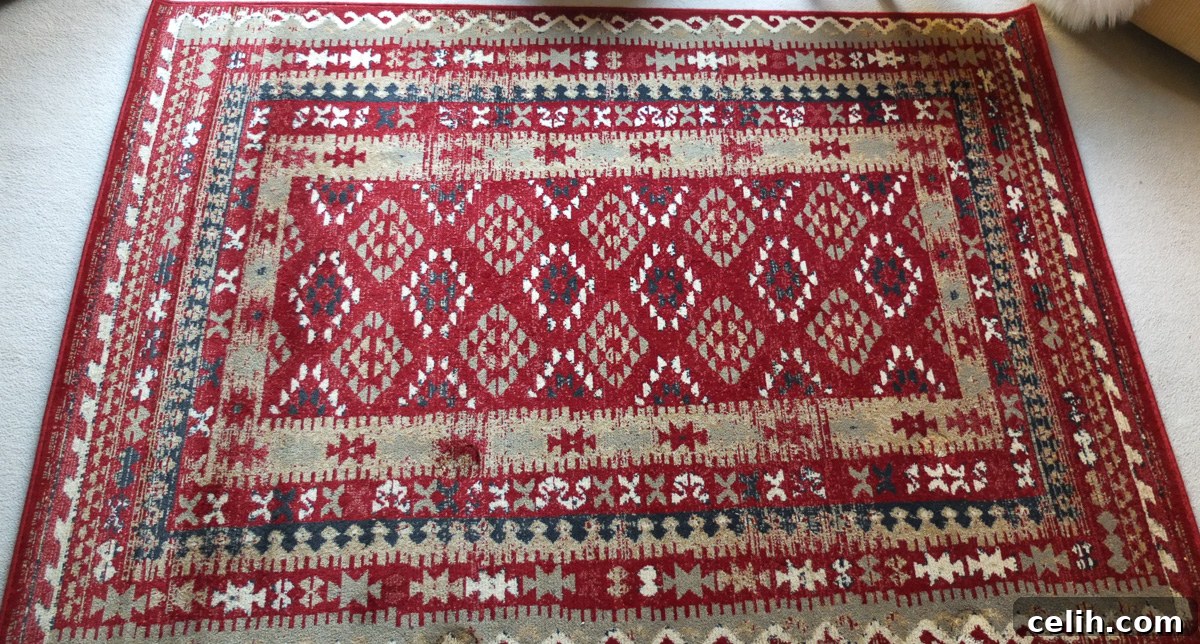 Frith Rugs Royal Keshan: A Statement for Your Floor 3 The striking design of the Royal Keshan wool rug made in Egypt and available from Frith Rugs