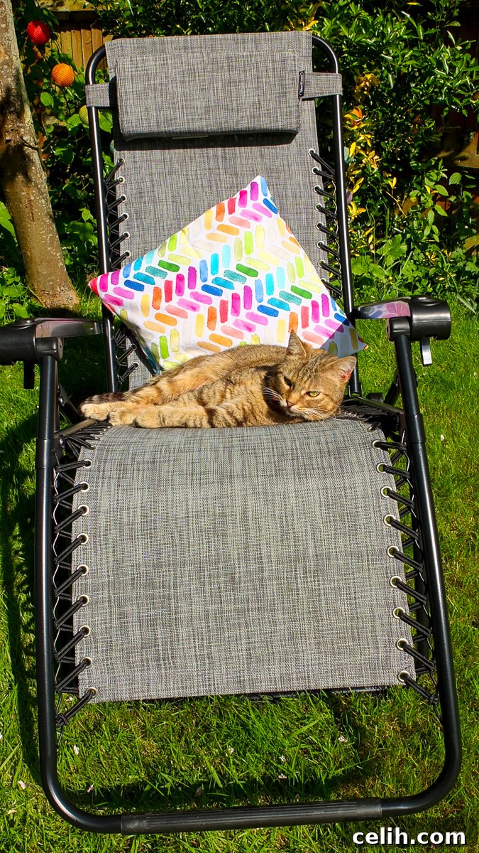 Both humans and cats find the VonHaus zero gravity garden chair super comfortable to relax on!