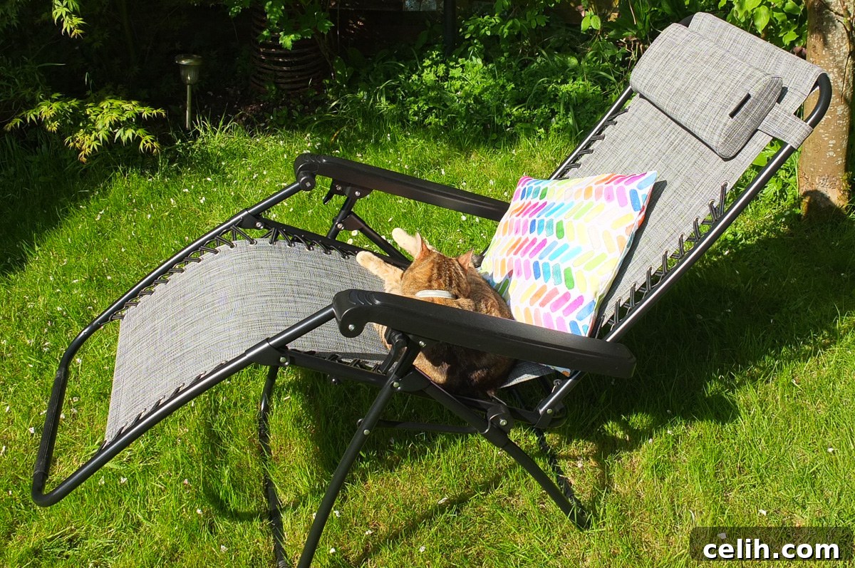 This reclining zero gravity chair is the perfect piece of garden furniture to use for relaxing outside during sunny summer weather