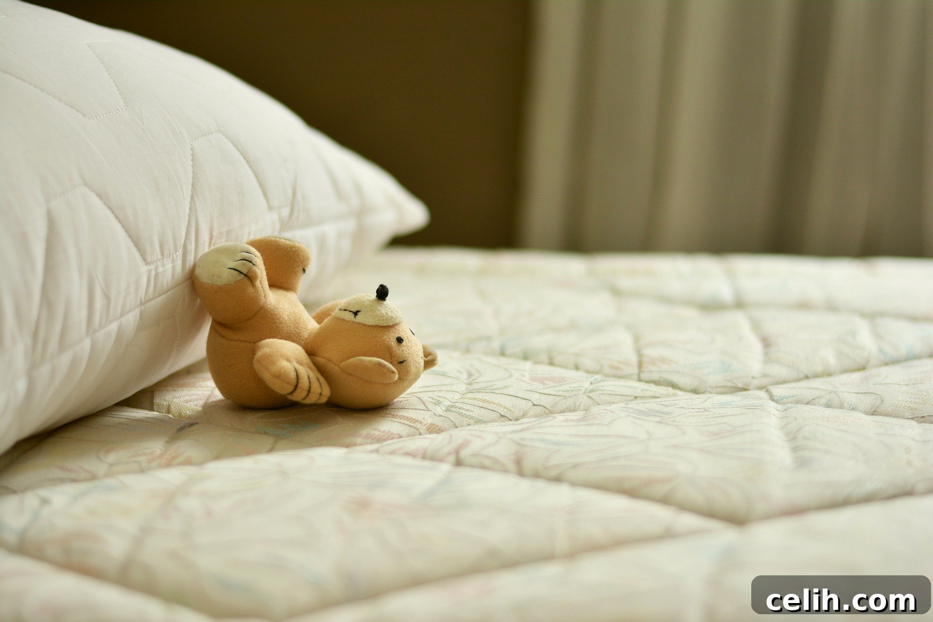 How to keep your bedroom and mattress squeaky clean