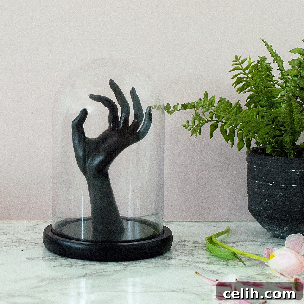 Quirky and eclectic Gothic and Halloween home accessories